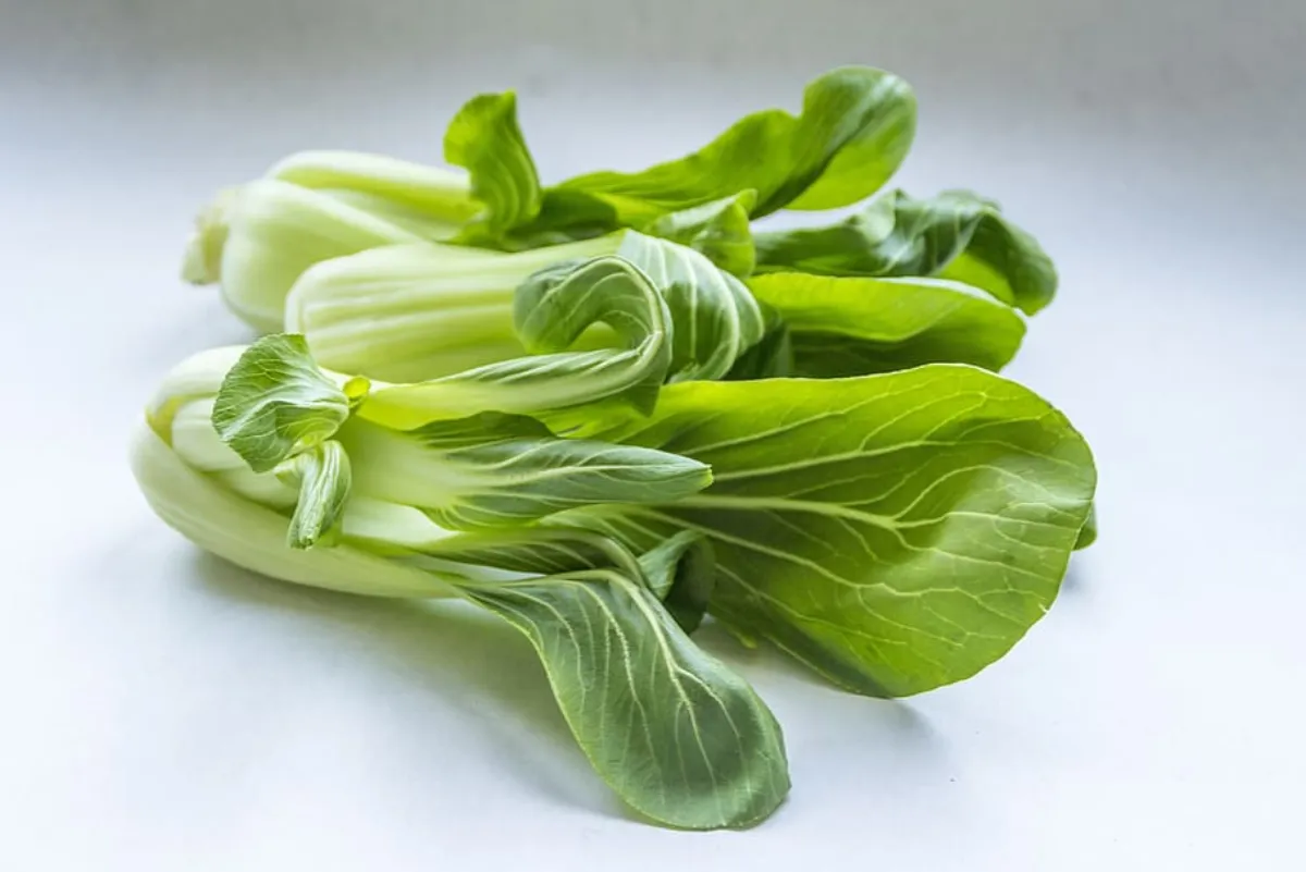 Recette Chou Pak Choi : Chou Chinois Braisé